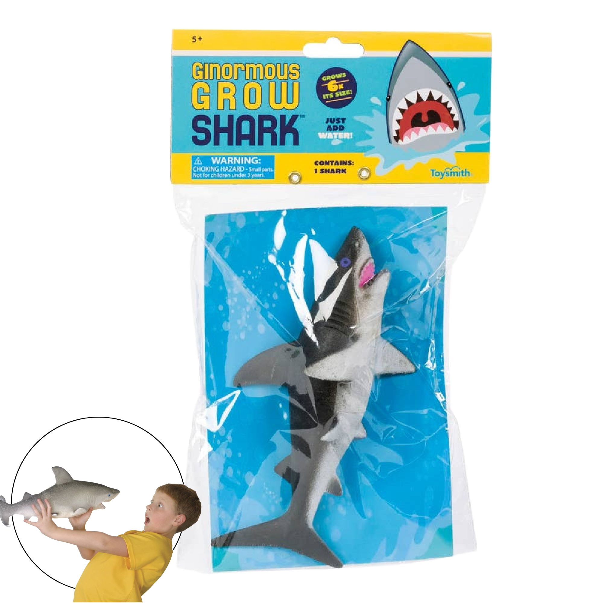 G SHARK gyaromi ギャロミ ももこ momoco WF2025 夏