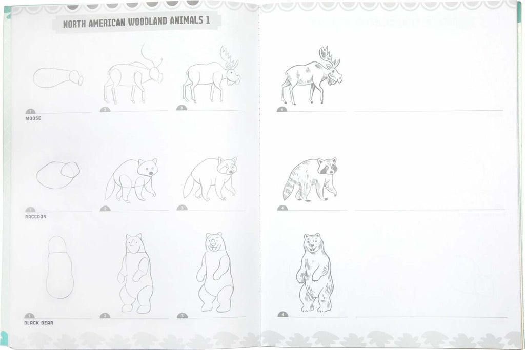 Learn to Draw Wild Animals – Monkey Fish Toys