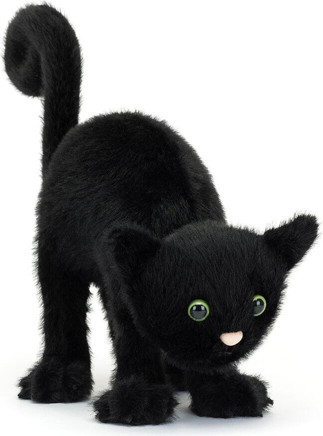 Spookipaws Cat