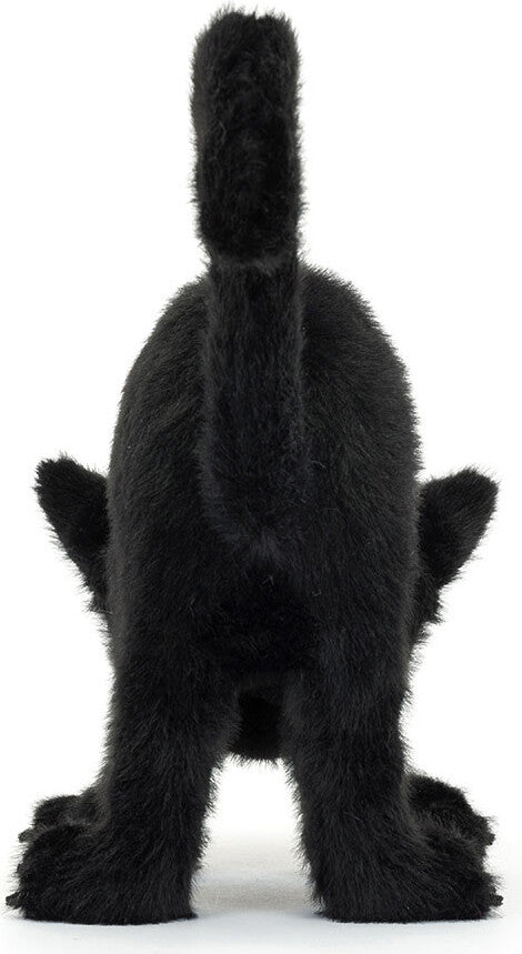 Spookipaws Cat
