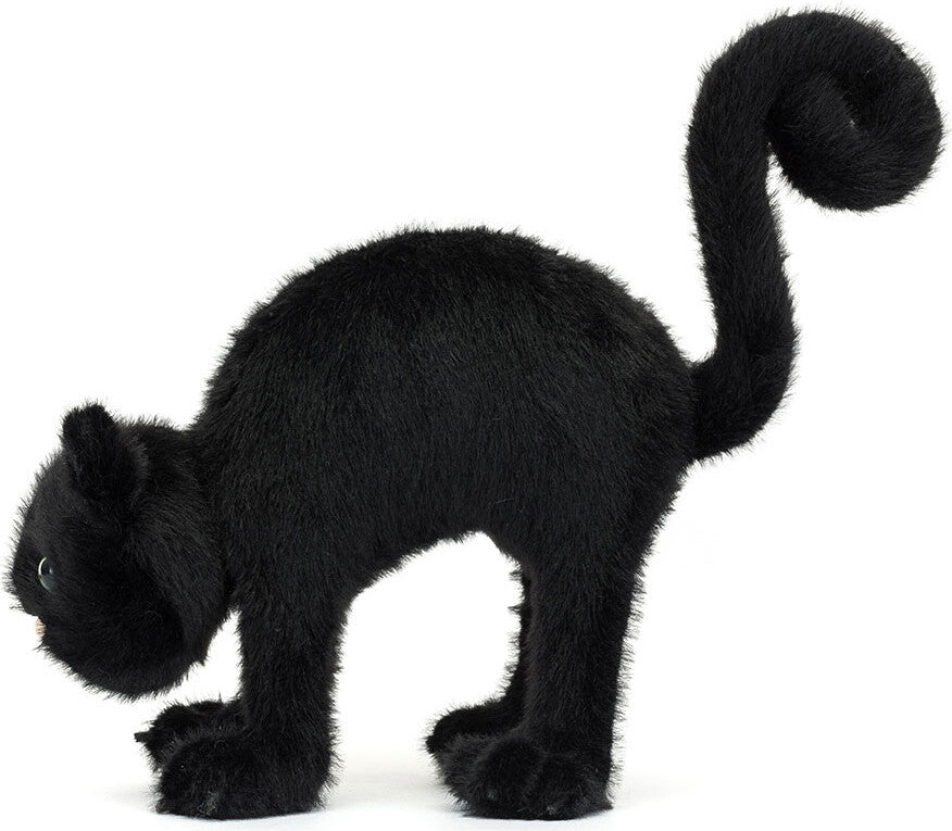 Spookipaws Cat