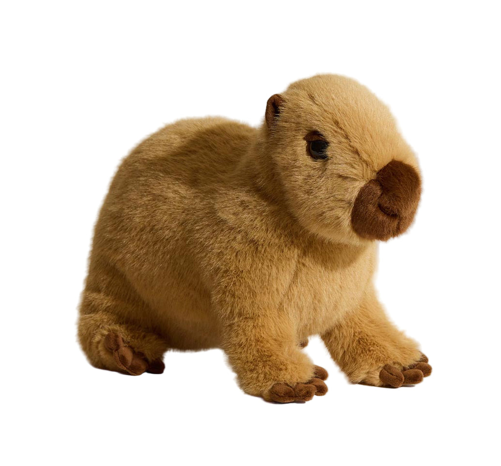Chattie Capybara Soft