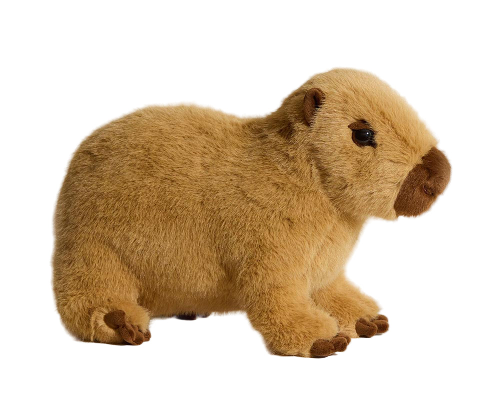 Chattie Capybara Soft